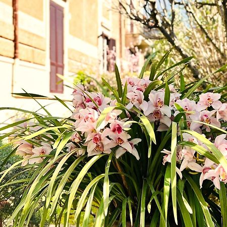Villa Michelangelo Deluxe Рим Екстериор снимка